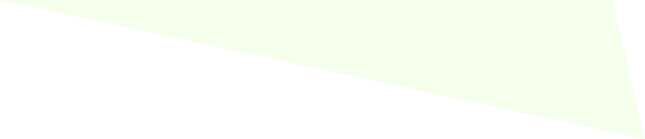 Zap 1