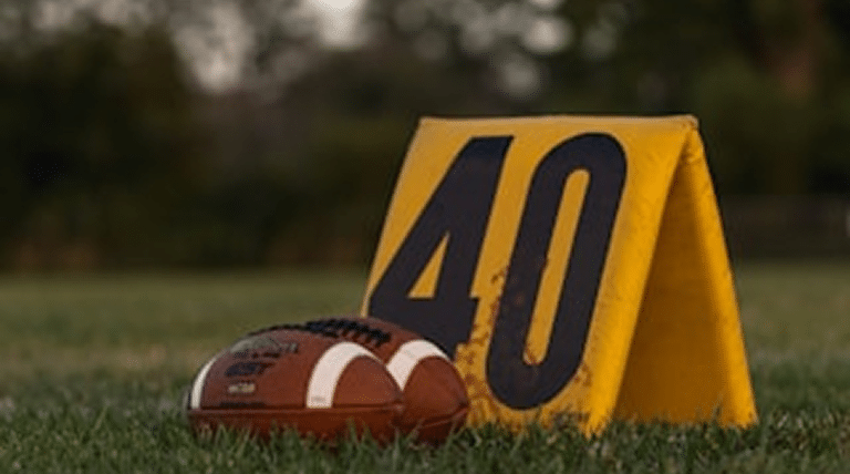 stats fantasy football