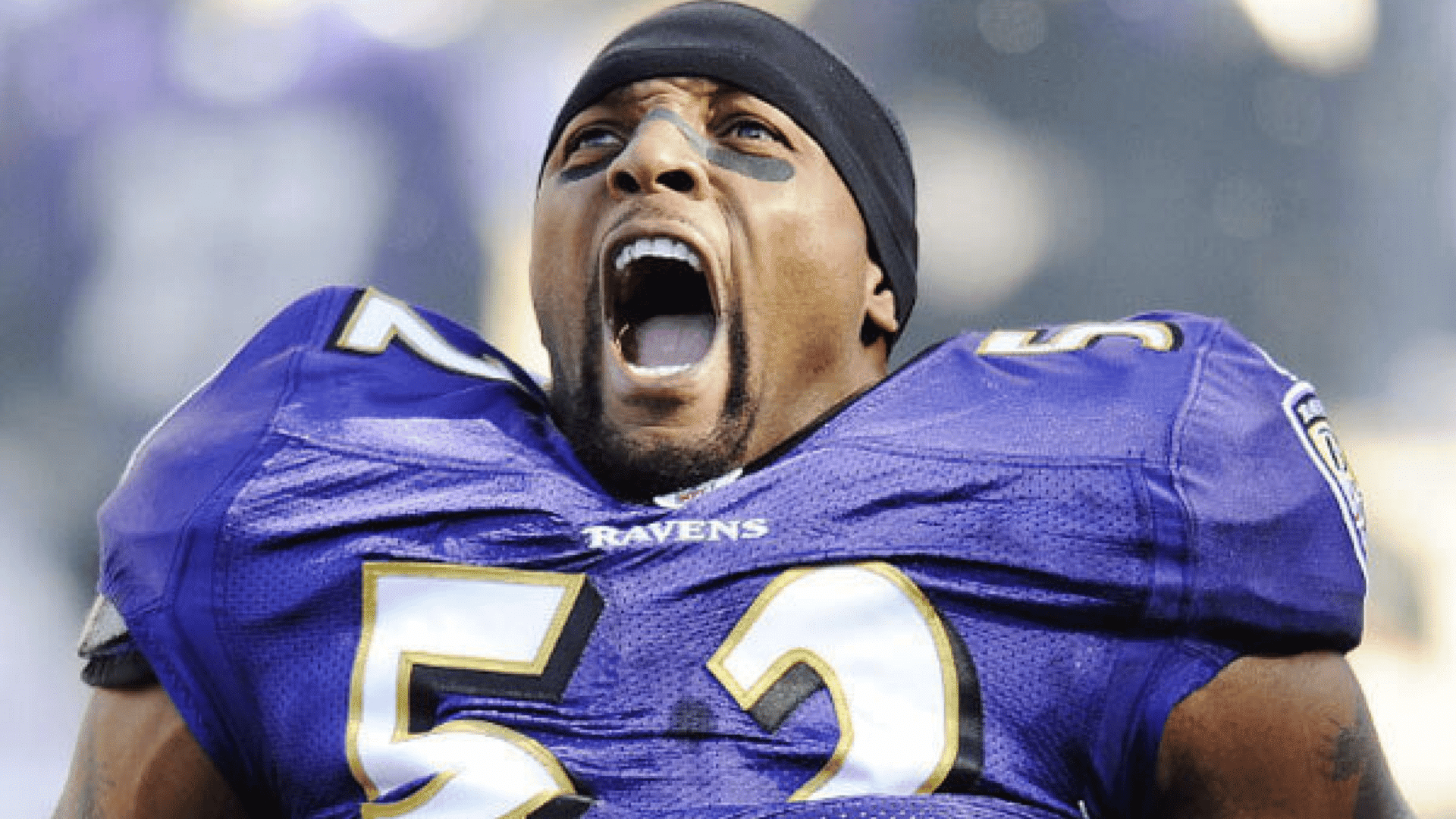 baltimore ravens football player wearing purple jersey number fifty two screaming passionately on the field