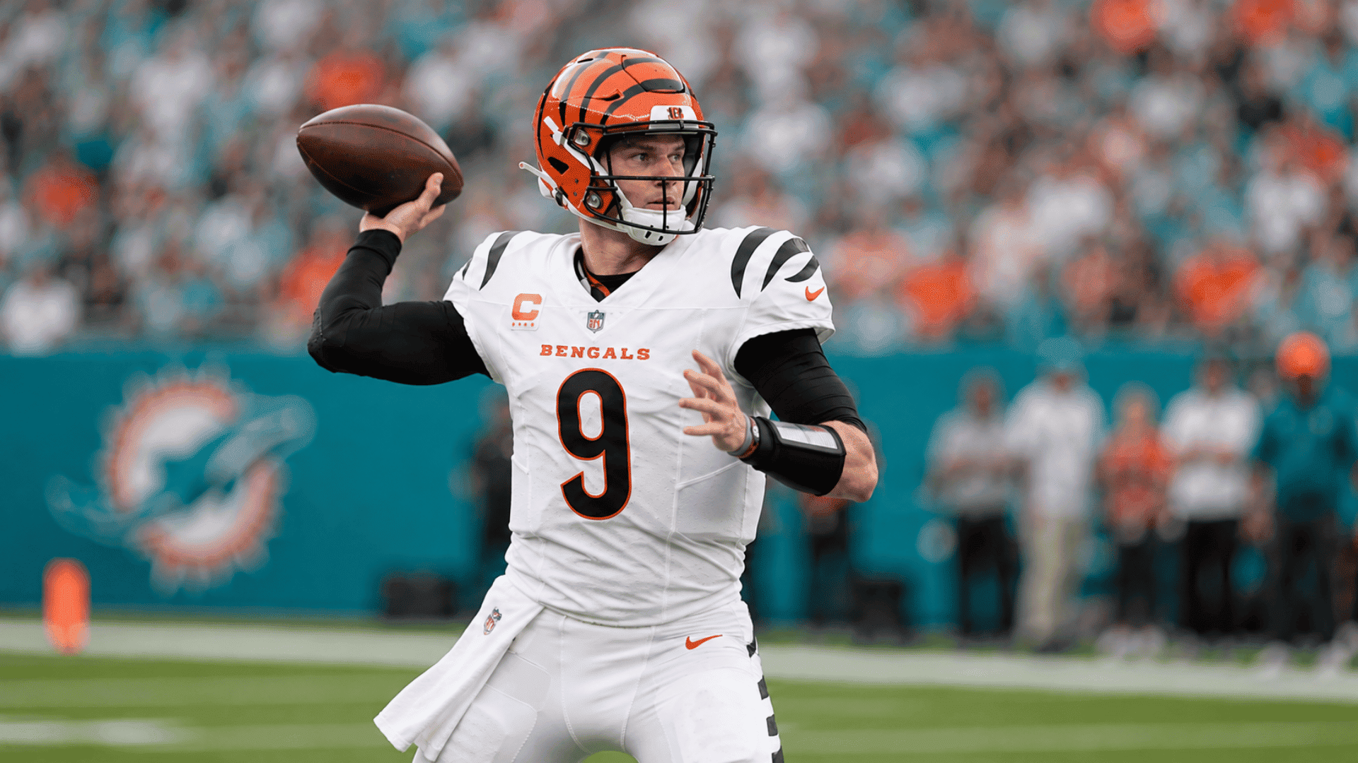 cincinnati bengals quarterback drops back and scans the defense before attempting a pass during a game