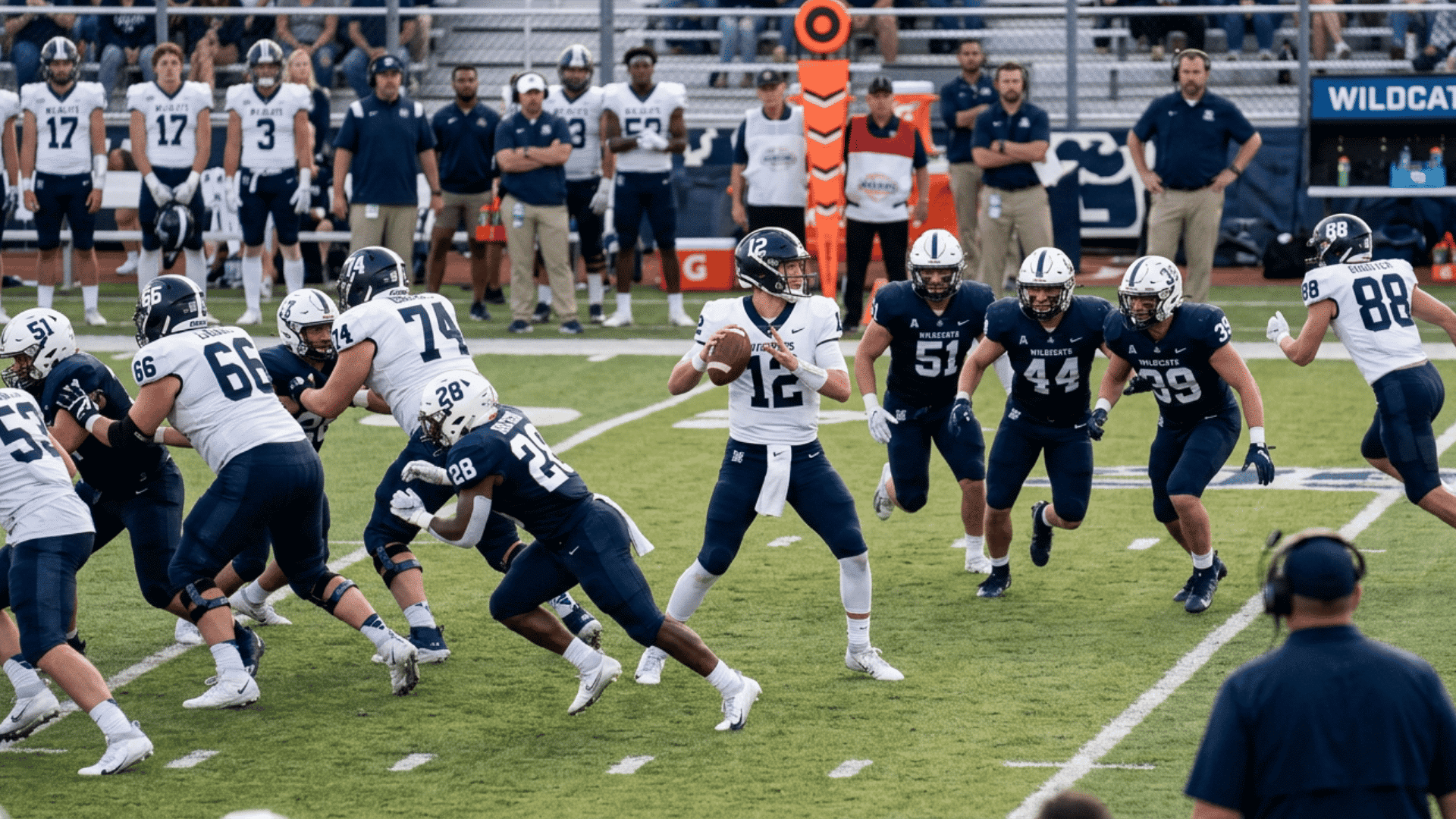 football quarterback in white uniform looks to pass while blockers and defenders clash near the sideline