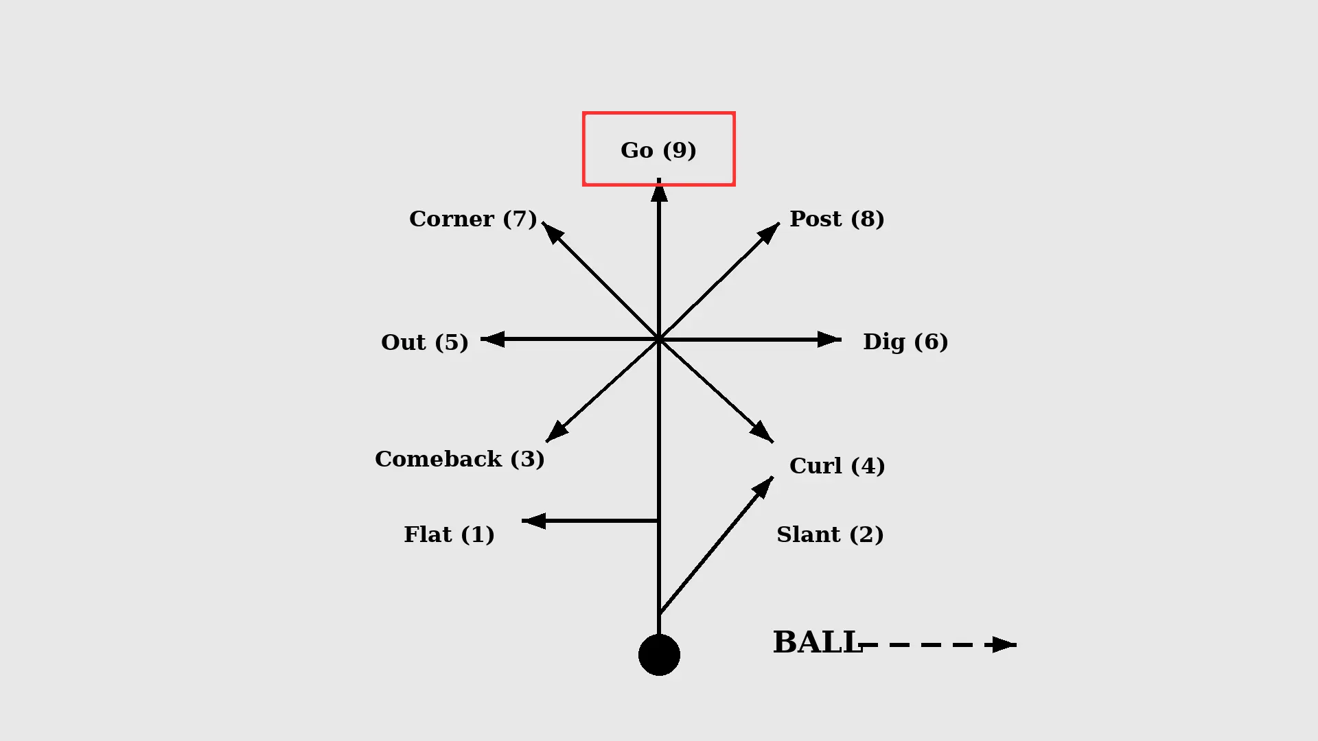 go route diagram showing receiver path straight downfield with quarterback throw direction