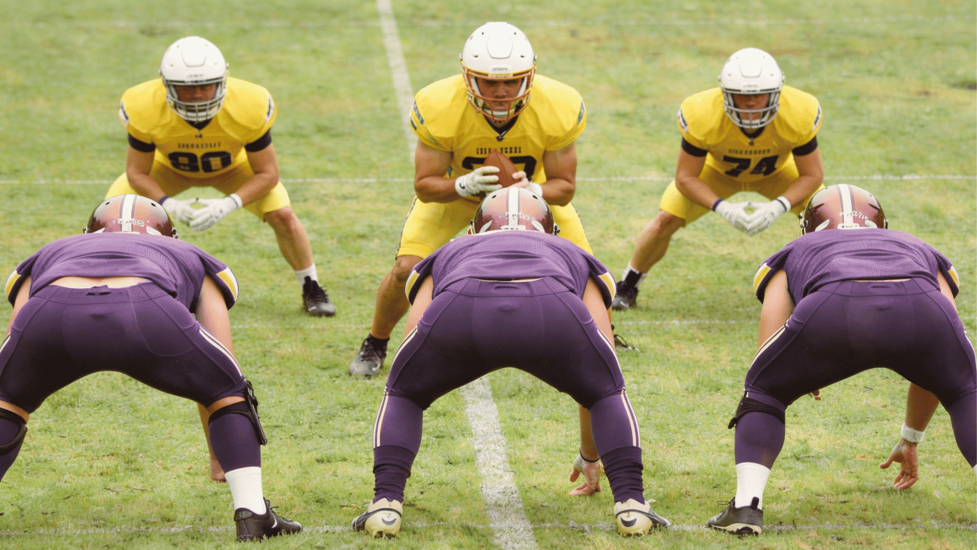 players in purple and yellow uniforms line up on a football field facing each other in a ready stance