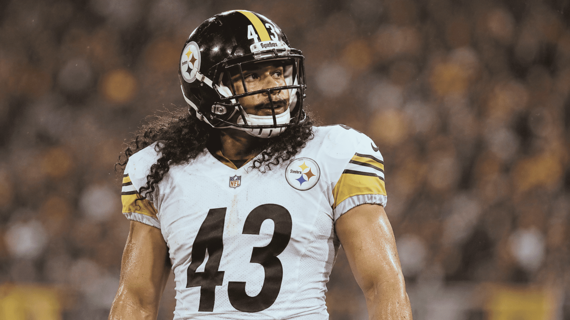 troy polamalu standing on the field during a night game with a blurred stadium crowd behind him