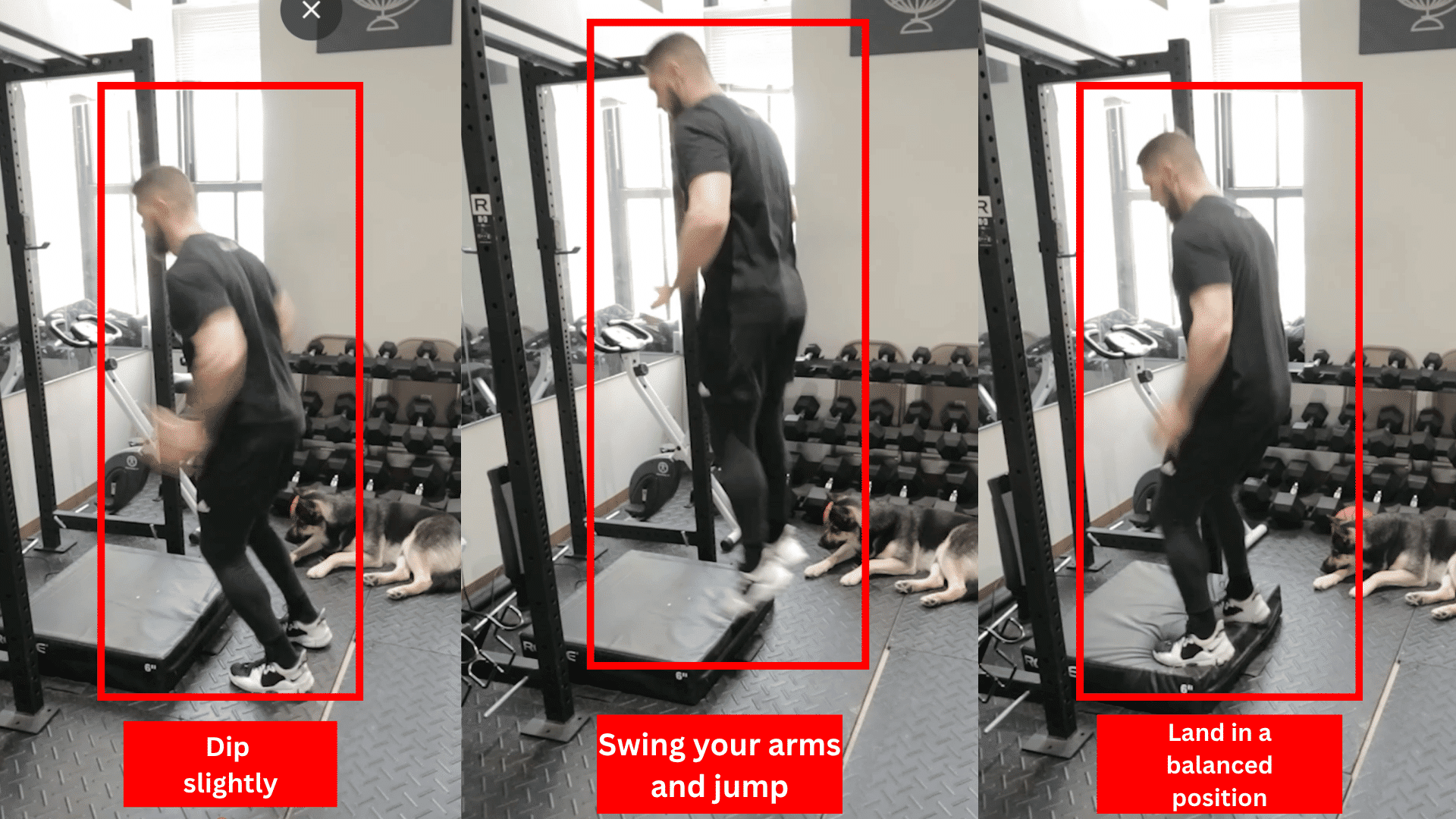 athlete performing a low box jump with both feet while using an arm swing and landing softly on a stable box