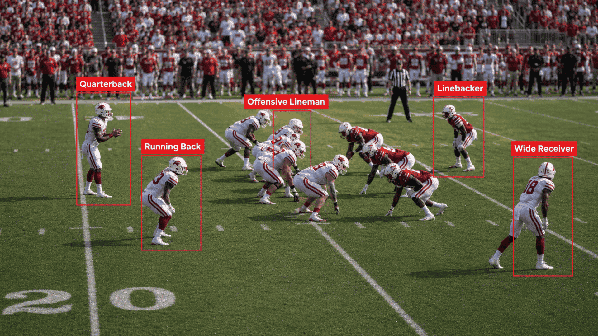 football players lined up on the field with red boxes labeling quarterback running back lineman linebacker and receiver