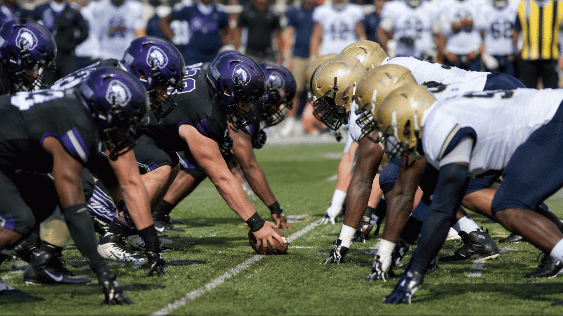 college football teams line up across the ball before the snap during a daytime game on a grass field